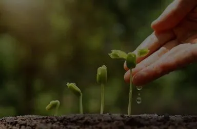 best long term stocks