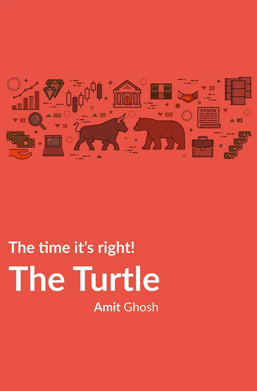 The Turtle: The time it’s right!