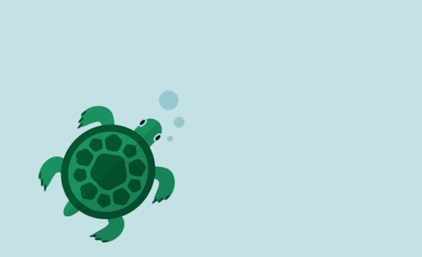 Options Strategies (1) Options Strategies (1)